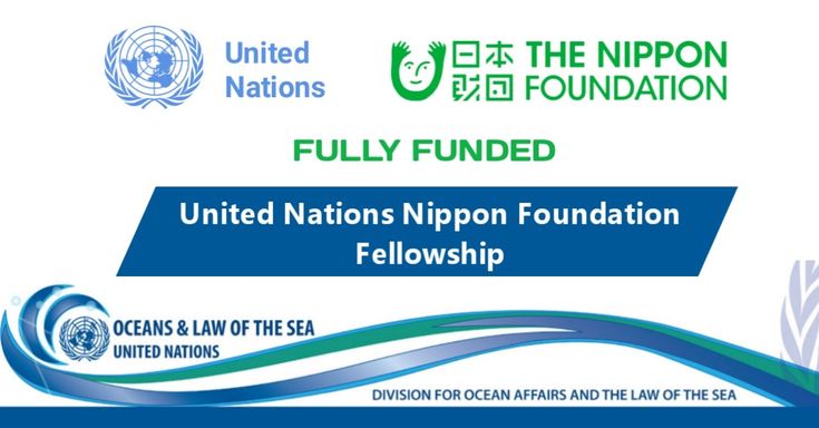 United Nations Nippon Fellowship 2026 | Fully Funded for Developing Countries